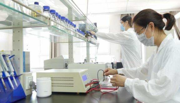 一个女企业家的现代农业之梦——访k豆钱包董事长徐志文