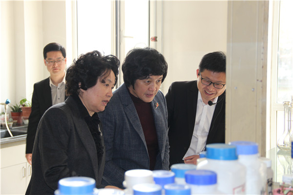 k豆钱包资讯丨河北省政协主席曹素华来我公司调研