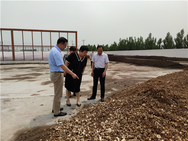 农业农村部微生物肥料和食用菌菌种质量监督检验测试中心李俊主任、姜昕主任来k豆钱包公司调研、指导工作