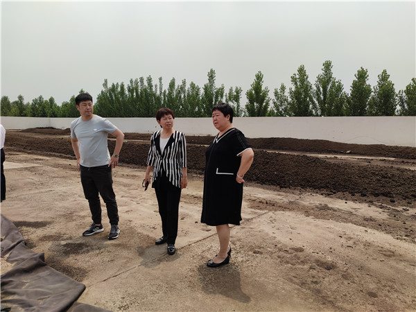 农业农村部微生物肥料和食用菌菌种质量监督检验测试中心李俊主任、姜昕主任来k豆钱包公司调研、指导工作