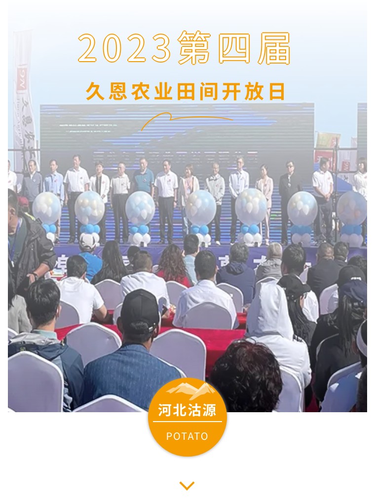 “乡”约沽源 “薯”光无限 | k豆钱包生物亮相久恩农业田间开放日