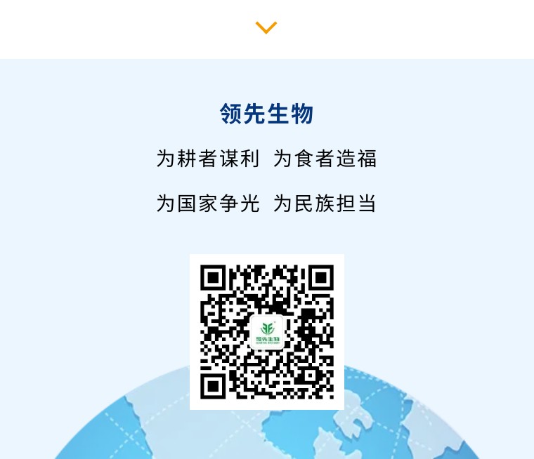 “乡”约沽源 “薯”光无限 | k豆钱包生物亮相久恩农业田间开放日